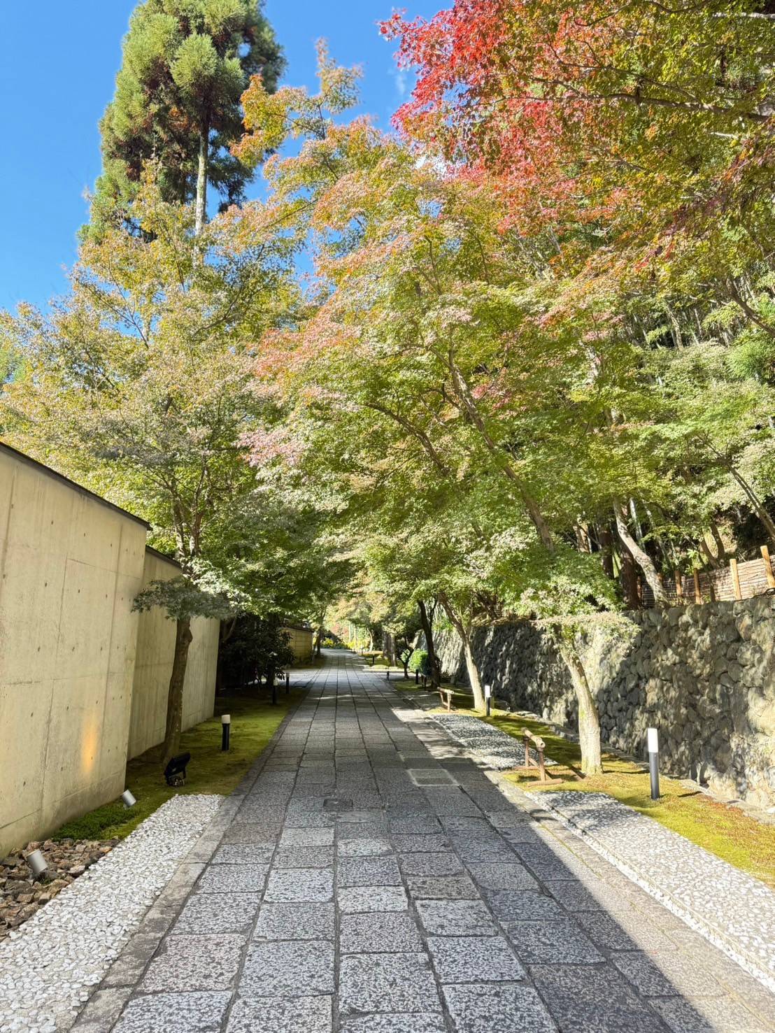 着物でお出かけ★しょうざんリゾート京都【加古川店】